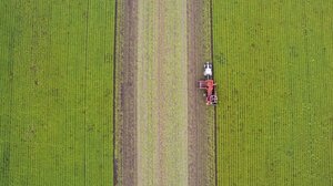 Πώς οι μεταβολές των κλιματικών παραμέτρων επηρεάζουν τη γεωργία