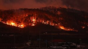 18 νεκροί στις «χειρότερες» πυρκαγιές που έπληξαν «ποτέ» τη Νότια Κορέα