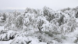 Έρχεται η διήμερη κακοκαιρία τα ξημερώματα της Τετάρτης στην Κρήτη