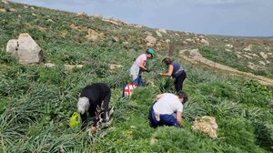 Ολοκληρώνεται ο κύκλος δράσεων «Πάμε για Χόρτα;»