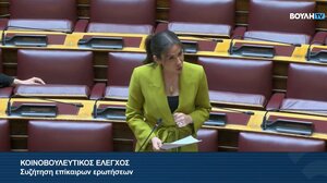 Μιχαηλίδου προς Βατσινά για τους εκπαιδευτές τυφλών: Έχουμε μείνει πίσω, δεσμευόμαστε να εξελίξουμε το θέμα