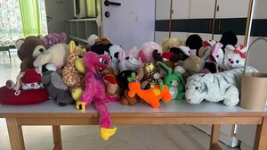 Οι μικροί μαθητές του 4ου Νηπιαγωγείου της Νέας Αλικαρνασσού φρόντισαν τα αδέσποτα