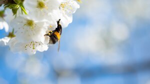 Καιρός: Την ανιούσα παίρνει η θερμοκρασία