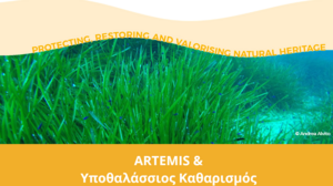 Ανοικτή ενημερωτική εκδήλωση: «Αποκατάσταση λιβαδιών Ποσειδωνίας στον όρμο Ατζικιάρι» 