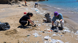 Πρώτα βήματα για την πρότυπη Αποκατάσταση λιβαδιών Ποσειδωνίας στον όρμο Ατζικιάρι