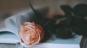 Βραδιά αφήγησης κρητικών παραμυθιών εις μνήμην του Αριστοφάνη Χουρδάκη 