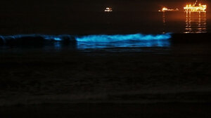 Μια μυστηριώδης λάμψη του ωκεανού προκαλεί αμηχανία στους επιστήμονες εδώ και… 400 χρόνια