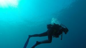 Πήγε για ψαρουντούφεκο και βρέθηκε τραυματισμένος στο νοσοκομείο