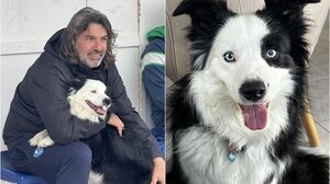 Πλημμύρες στη Μύκονο: Η τετράποδη ηρωίδα που βρίσκεται στην πρώτη γραμμή - Δείτε βίντεο