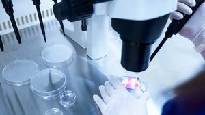 «Ιατρική καταστροφή» στην Ολλανδία: 3.000 παιδιά με 25 αδέλφια το καθένα