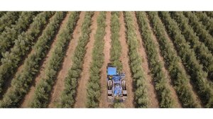 Σκάνδαλο ΟΠΕΚΕΠΕ: Οι ομάδες- "φαμίλιες" της Κρήτης και η "αγρότισσα" με το 1 εκ ευρώ