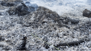 Τι γίνεται με την ανεξέλεγκτη καύση σκουπιδιών