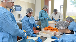 Στο Μιλάνο, με Erasmus, το 5ο ΕΠΑΛ Ηρακλείου