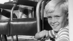  Ντένις ο Τρομερός: Πέθανε ο ηθοποιός Τζέι Νορθ 