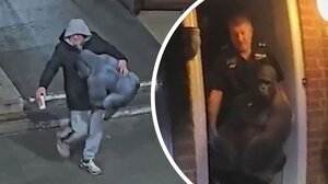 Έκλεψαν ... άγαλμα γορίλα