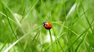 Ο καιρός τη Δευτέρα του Πάσχα στην Κρήτη