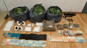 Μέχρι την Κρήτη τα "δίχτυα" της εγκληματικής οργάνωσης που διακινούσε SKUNK και κοκαΐνη - Βίντεο και φωτογραφίες