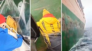 Απόλυτος τρόμος... Ψαρόβαρκα παρασύρεται από φορτηγό πλοίο - Βίντεο