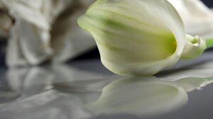 Πένθος στο ΕΛΜΕΠΑ για τον θάνατο της Μαρίας...