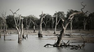 Πάνω από 400.000 ανθρώπους στην Ευρώπη επηρέασαν οι πλημμύρες, το 2024