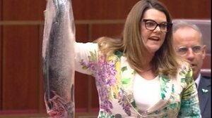 «Πράσινη» διαμαρτυρία στη Βουλή της Αυστραλίας, με νεκρό σολομό