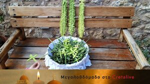 Βάγια των Βαγιών: Χιλιάδες Σταυροί από το Ηράκλειο στην Ευρώπη (video)