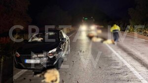 Σκηνικό-σοκ στο ΒΟΑΚ! Αυτοκίνητο παρέσυρε 15 πρόβατα! - Φωτογραφίες