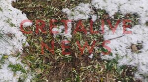 Τρομακτική η αναλογία της ζημιάς από το χαλάζι: αμπέλια 100% - ελιές 50% - Τι λέει στο Cretalive ο διευθυντής του ΕΛΓΑ 