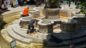 Σαββατοκύριακο στον βούρκο, Δευτέρα καθαριότητα στα Λιοντάρια