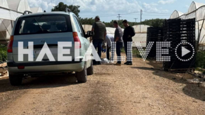 Δολοφονία στην Ηλεία: Με μία μαχαιριά στην καρδιά ενώ μάζευαν φράουλες σκότωσε ο 23χρονος Αιγύπτιος τον ομοεθνή του