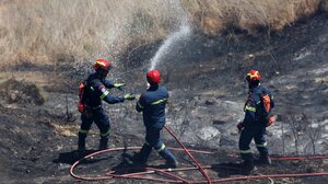 Υπό μερικό έλεγχο η πυρκαγιά στο Νεοχώρι Αργολίδας