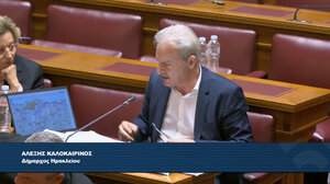 Καλοκαιρινός για ΒΟΑΚ: Η προσφυγή στο ΣτΕ παραμένει "ζωντανή" μέχρι να επιτύχουμε ένα αποτέλεσμα