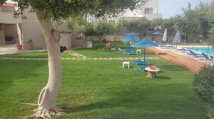 Kipocreta Έργα Πρασίνου: Από τη μελέτη στην υλοποίηση, κήποι που ξεχωρίζουν