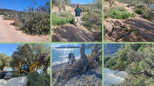 Στοχευμένες εργασίες κλαδέματος από τη Δημοτική Ανώνυμη Εταιρεία Αγίου Νικολάου 