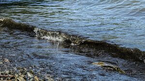 Ικαρία: Σορός άνδρα εντοπίστηκε στην παραλίας «Κιόνιο»