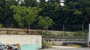 Θεσσαλονίκη: Πήρε εξιτήριο η 30χρονη μητέρα του νεκρού εμβρύου