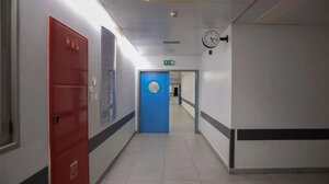 Β. Ελλάδα: Αυξάνονται τα κρούσματα στρεπτόκοκκου 