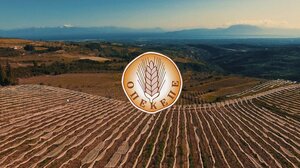 Νέες αποκαλύψεις για το σκάνδαλο του ΟΠΕΚΕΠΕ: Στέλεχος φέρεται να δίνει εντολές για εικονικούς ελέγχους