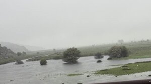 Παράξενη Πρωτομαγιά: Στο Οροπέδιο Λασιθίου άλλοι κλαίνε κι άλλοι χαμογελούν...