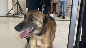 Και ο… Perfect στη συνδιάσκεψη του ΠΑΣΟΚ!