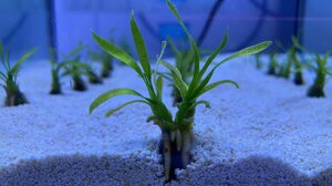 ΥΠΕΝ: Σε λειτουργία η Ψηφιακή Τράπεζα Γης για τη μεταφορά συντελεστή δόμησης