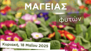 «Ημέρα Μαγείας Φυτών» Κυριακή 18 Μαΐου 2025 στο ΕΛΜΕΠΑ