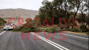 Δέντρα έπεσαν στον ΒΟΑΚ - Έκλεισε το ένα ρεύμα κυκλοφορίας