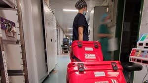 Δωρεά οργάνων: Ιστορικό ρεκόρ της Ελλάδας στις μεταμοσχεύσεις για το 2025 - Δόθηκε ζωή σε 240 ασθενείς