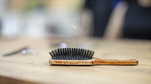 Μην πετάξετε τις τρίχες από τη βούρτσα σας: Μπορείτε να τις αξιοποιήσετε