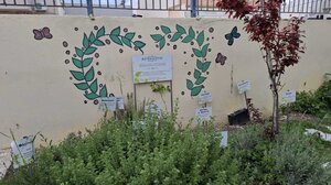 A' Βραβείο στον βοτανόκηπο του 10ου ΓΕΛ Ηρακλείου