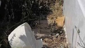 «Εικόνα εγκατάλειψης στο Νέο Κοιμητήριο Ηρακλείου!»