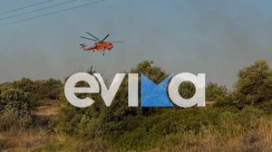 Φωτιά στην Εύβοια: Άμεση παρέμβαση της Πυροσβεστικής, προειδοποιητικό μήνυμα από το 112