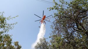 Φωτιά σε οικόπεδο κοντά στο Σισμανόγλειο 