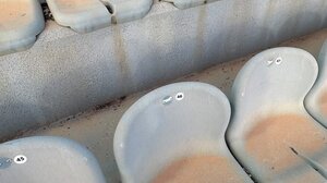 Κανείς δε σεβάστηκε τους 19.000 που πήγαν στο Παγκρήτιο!